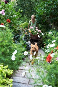 Interior Stylist Mary Norden with her Irish terrier Ned in her English garden