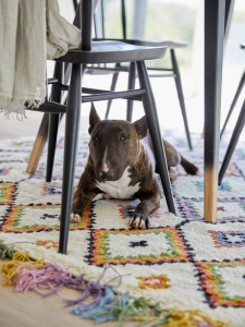 Interior designer Sophie Robinson shoots La Redoute rug with her dog Lucy