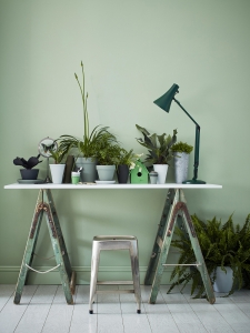 My latest colour crush is Mint green for it’s fresh, uplifting tone. This pastel shade works extremely well with pink in varying shades and whether on living room walls, accent pieces or light fixtures, it will create a modern and inviting space. Mint is set to be a key colour trend this year and well into 2020. Check out the blog for top tips and inspiration on using this hue. #sophierobinson #mint #colourcrush #lovecolour